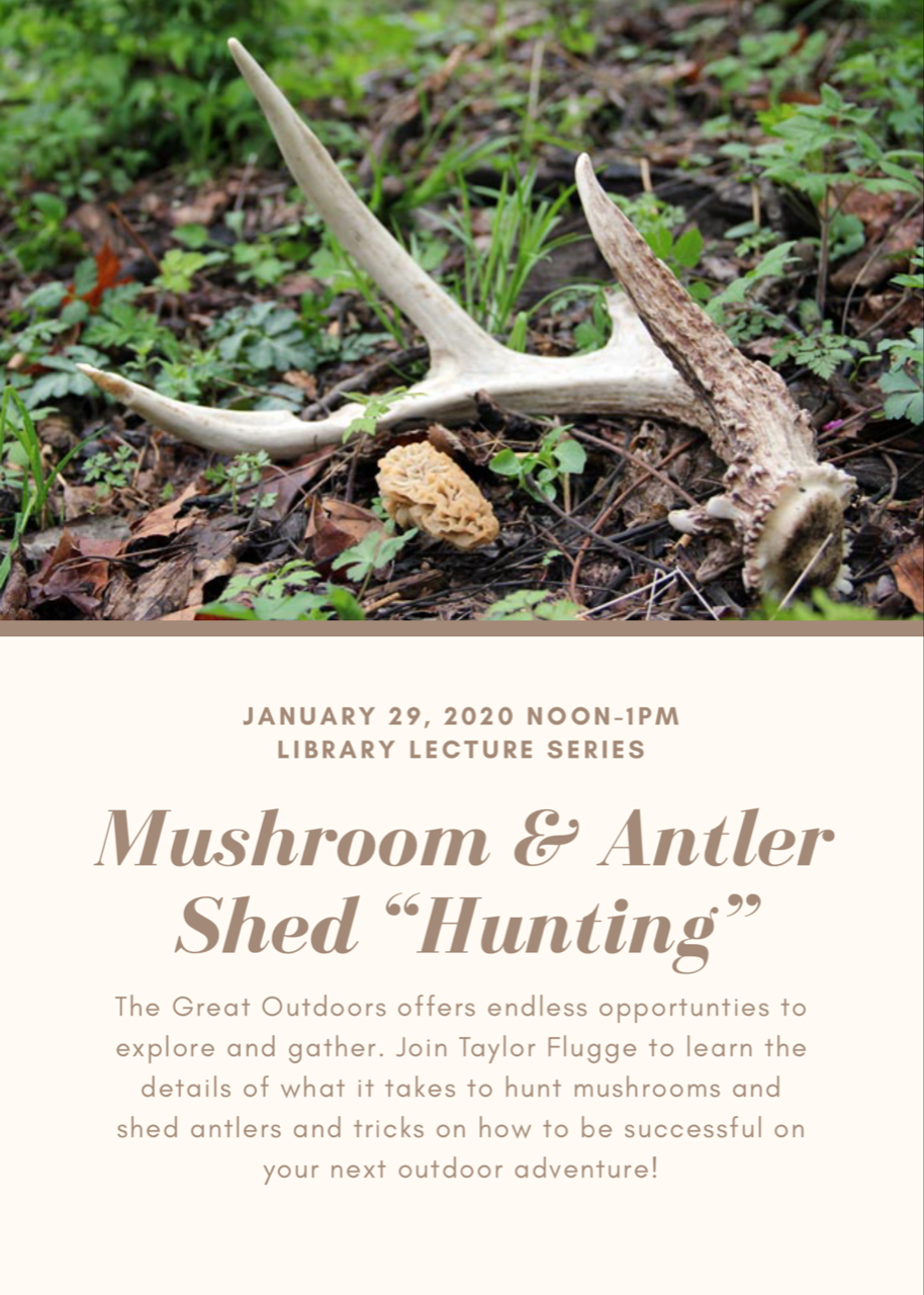 Taylor Flugge lecture image showing mushroom and antler shed items